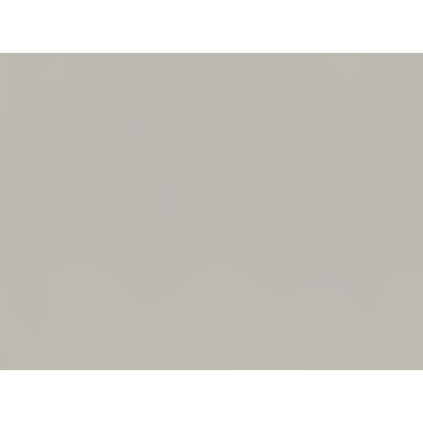 ЛДСП U540 VL Кам'яний сірий 2800х2070х18мм SWISS KRONO